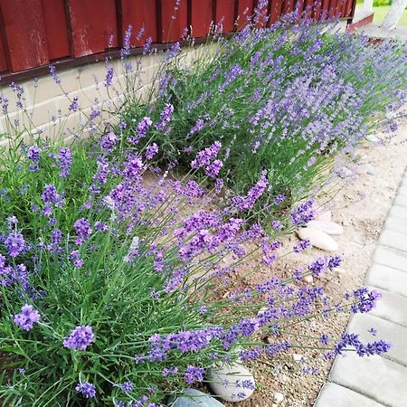 9 Min From Palanga! Luxury House On The River And Sauna Kretinga Exterior foto