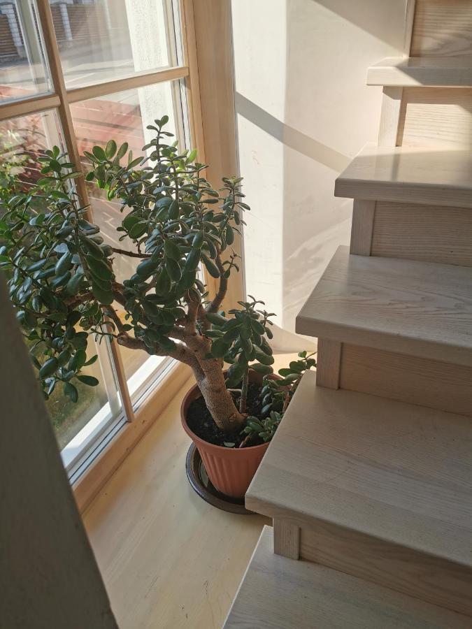 9 Min From Palanga! Luxury House On The River And Sauna Kretinga Exterior foto